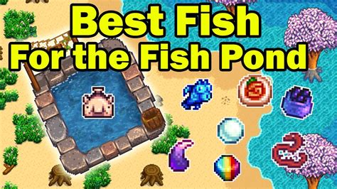 best fish for pond stardew valley|stardew valley most profitable fish.